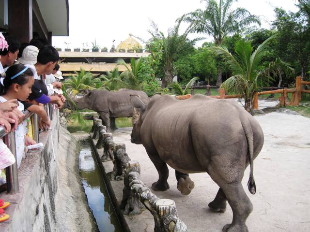เยี่ยมสวนสัตว์ด๋ายนามในจังหวัดบิ่งเยือง